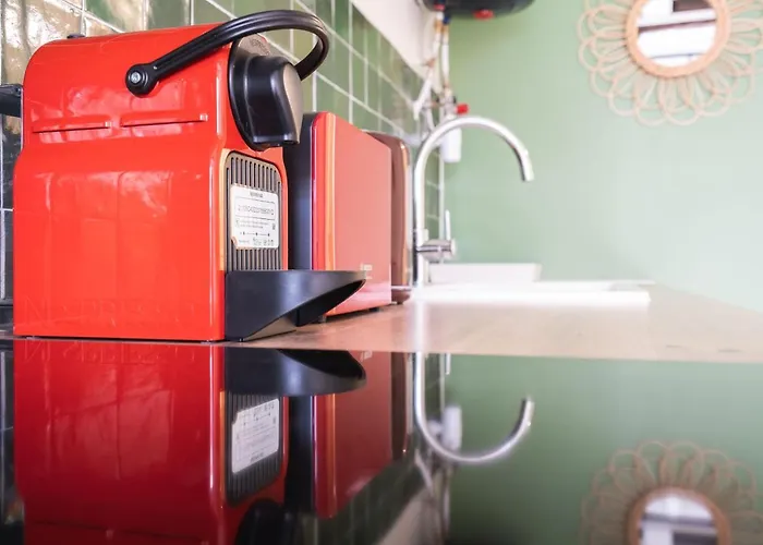 Les Hortillonnages_b&b Inn_centre Ville_terrasse_wifi_netflix 아파트